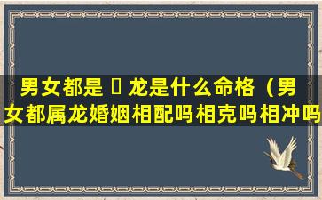 男女都是 ☘ 龙是什么命格（男女都属龙婚姻相配吗相克吗相冲吗）